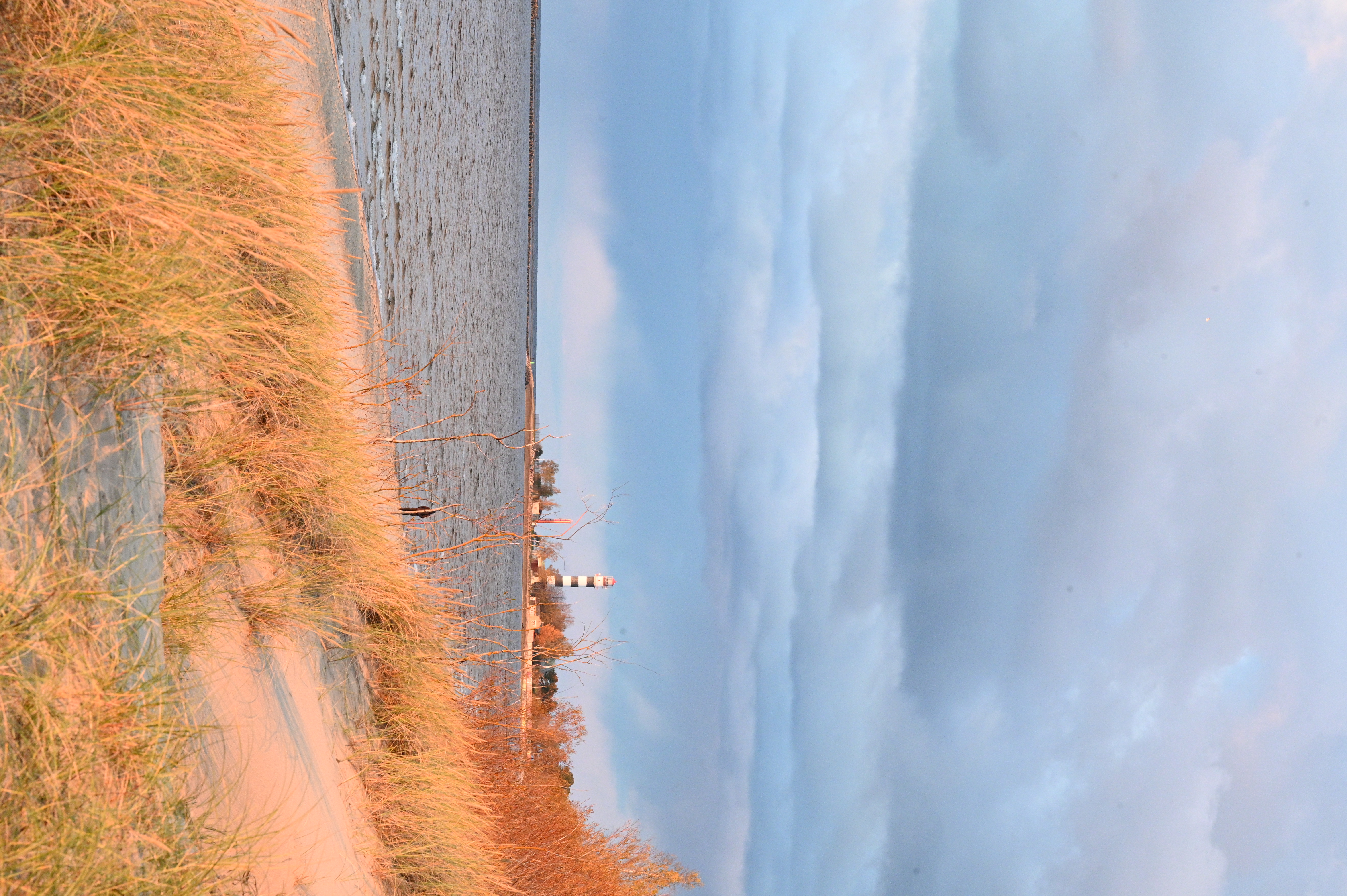 2025/10/18 - walk/DSC_0431.JPG